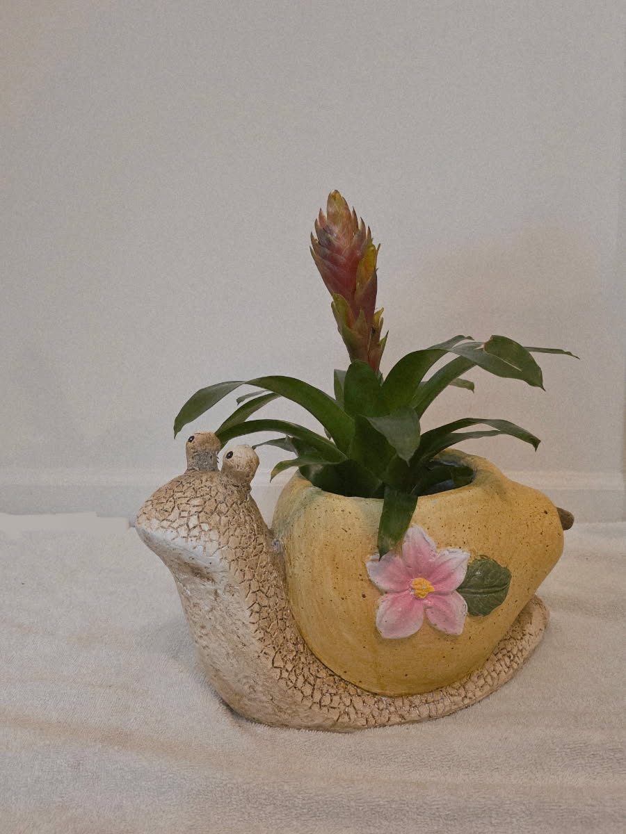Snail Planter