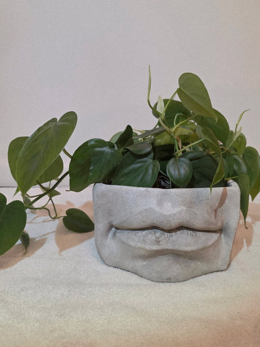 Lips Planter